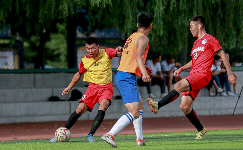 他是这队最稳的那个人（他是这支队伍最可靠的存在）